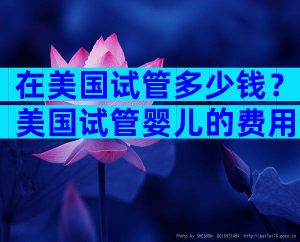 在美国试管多少钱？美国试管婴儿的费用明细表