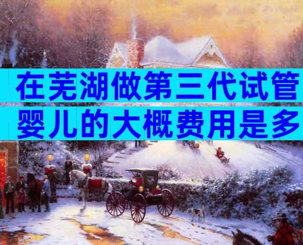 在芜湖做第三代试管婴儿的大概费用是多少？影响费用的因素有哪些？