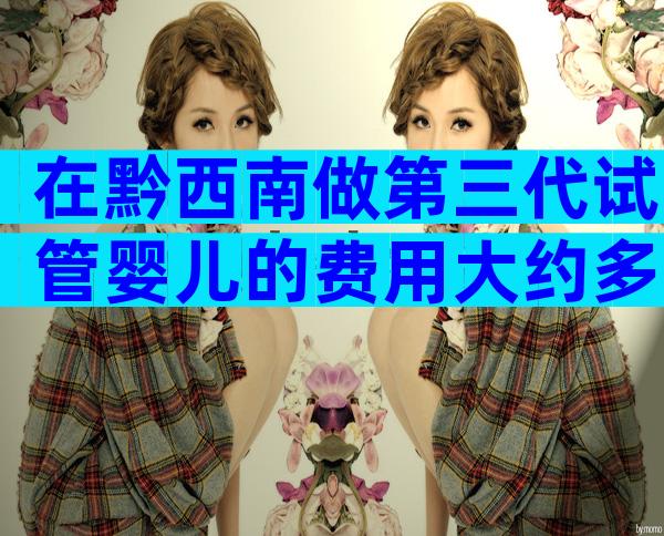 在黔西南做第三代试管婴儿的费用大约多少？