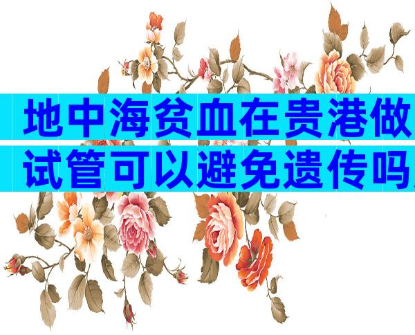 地中海贫血在贵港做试管可以避免遗传吗成功率高吗