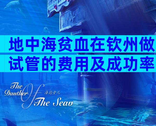 地中海贫血在钦州做试管的费用及成功率介绍