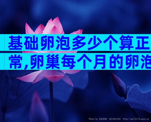 基础卵泡多少个算正常,卵巢每个月的卵泡数量不同吗