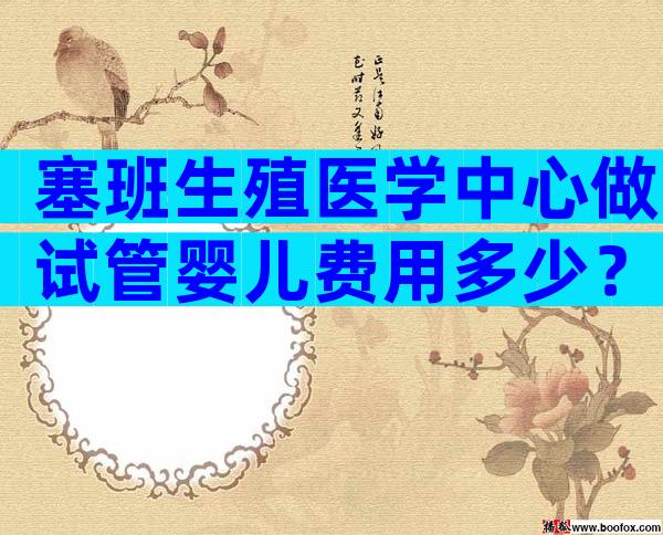 塞班生殖医学中心做试管婴儿费用多少？一次试管大概多少钱