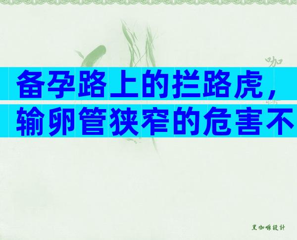 备孕路上的拦路虎，输卵管狭窄的危害不止不孕