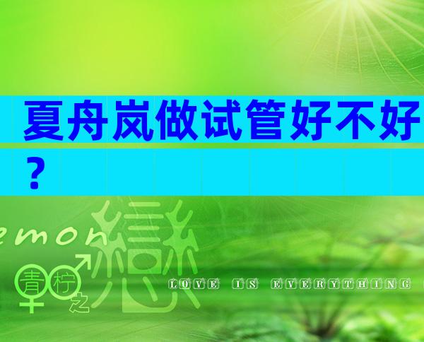 夏舟岚做试管好不好？