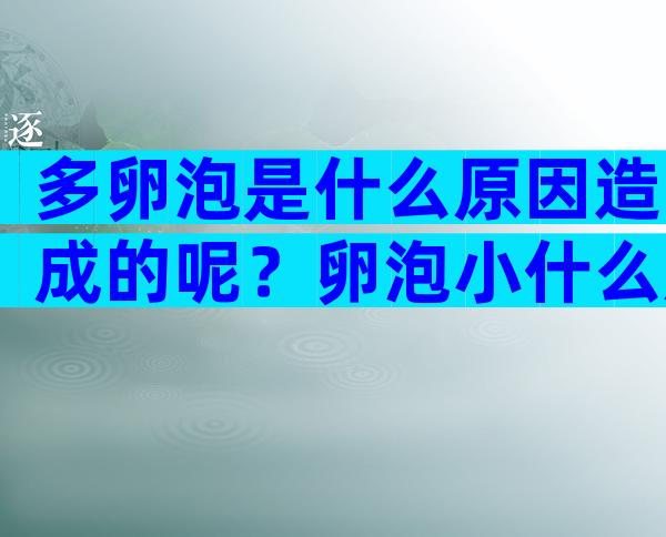 多卵泡是什么原因造成的呢？卵泡小什么原因导致的？