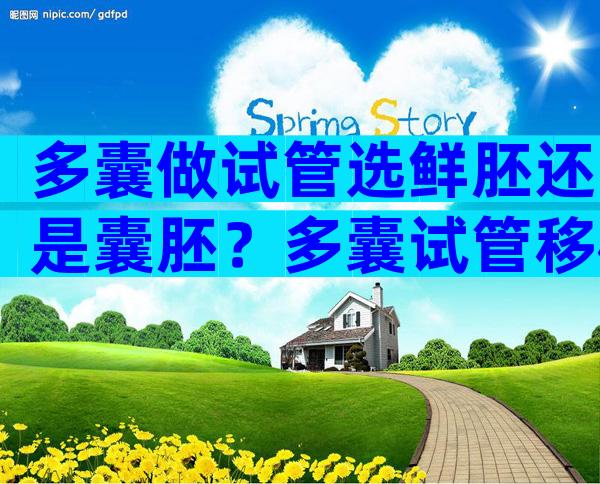 多囊做试管选鲜胚还是囊胚？多囊试管移植囊胚成功率高吗？