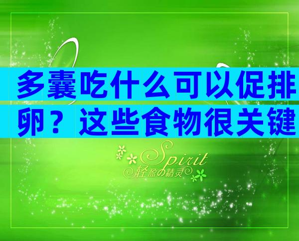 多囊吃什么可以促排卵？这些食物很关键！