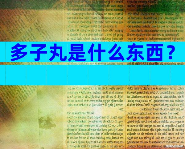 多子丸是什么东西？