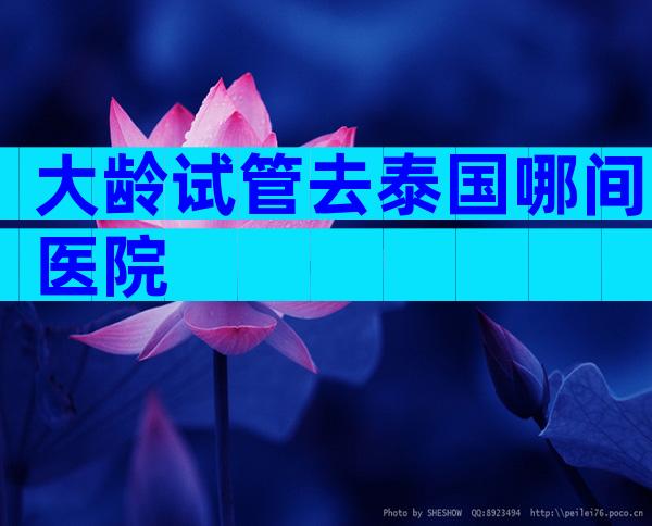 大龄试管去泰国哪间医院