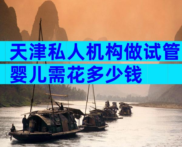天津私人机构做试管婴儿需花多少钱