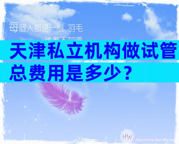 天津私立机构做试管总费用是多少？