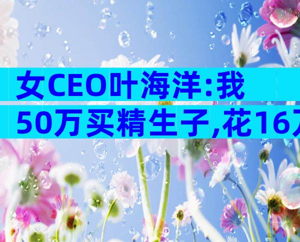 女CEO叶海洋:我50万买精生子,花16万生二胎,只要孩子不要爱情
