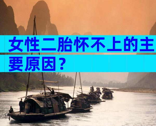 女性二胎怀不上的主要原因？