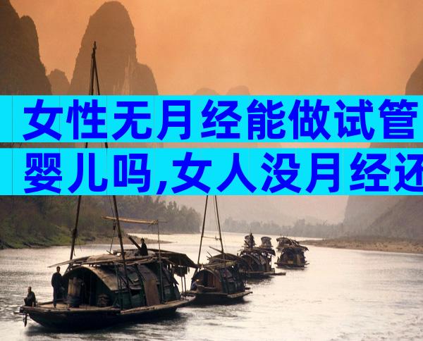 女性无月经能做试管婴儿吗,女人没月经还能做试管婴儿吗