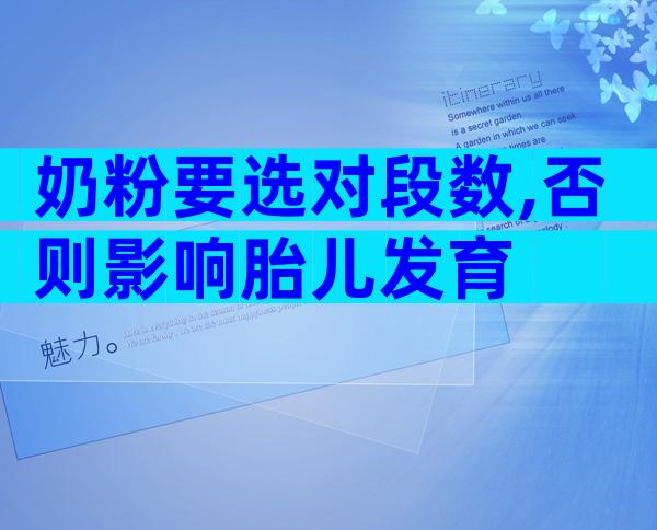 奶粉要选对段数,否则影响胎儿发育
