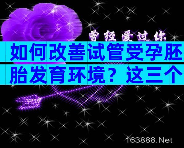 如何改善试管受孕胚胎发育环境？这三个方法能提高受孕率