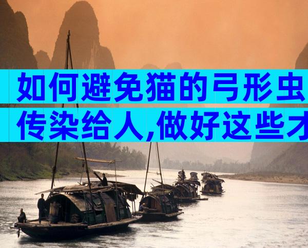 如何避免猫的弓形虫传染给人,做好这些才能最大概率避免猫弓形虫传染给人!