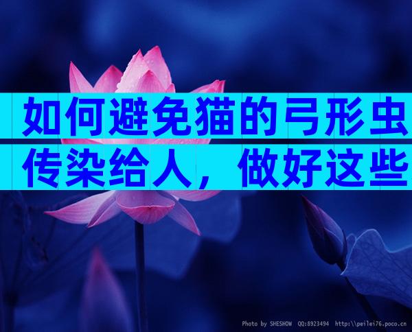 如何避免猫的弓形虫传染给人，做好这些才能最大概率避免猫弓形虫传染给人！