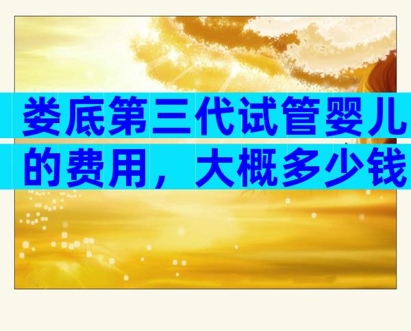 娄底第三代试管婴儿的费用，大概多少钱？