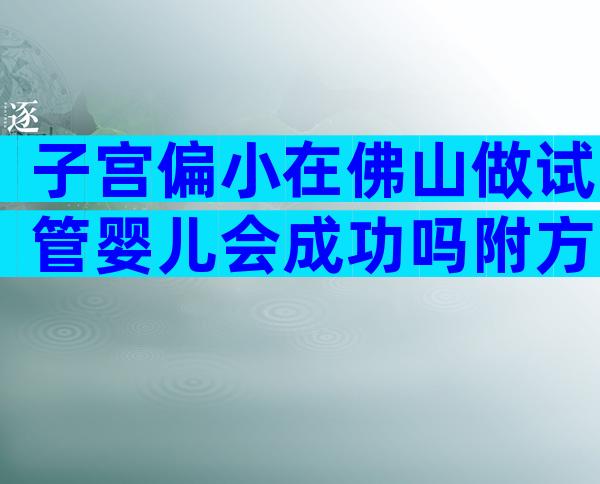 子宫偏小在佛山做试管婴儿会成功吗附方案及费用介绍