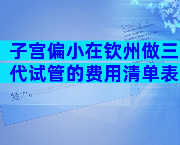 子宫偏小在钦州做三代试管的费用清单表
