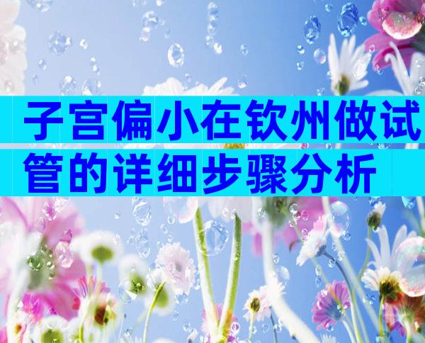 子宫偏小在钦州做试管的详细步骤分析