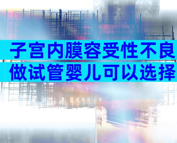 子宫内膜容受性不良做试管婴儿可以选择哪些方案？