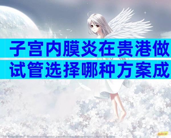 子宫内膜炎在贵港做试管选择哪种方案成功率最高