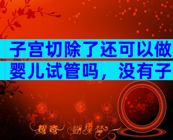 子宫切除了还可以做婴儿试管吗，没有子宫能做试管吗？