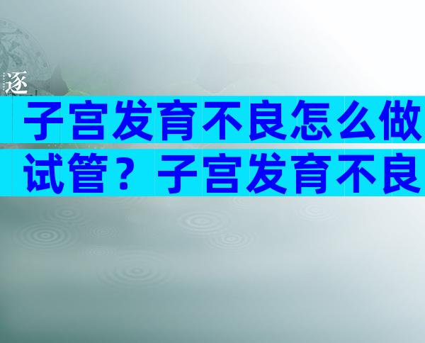 子宫发育不良怎么做试管？子宫发育不良能怀孩子吗？