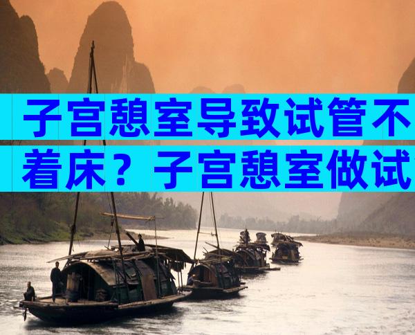 子宫憩室导致试管不着床？子宫憩室做试管移植的成功率