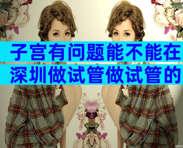 子宫有问题能不能在深圳做试管做试管的影响及好孕方案
