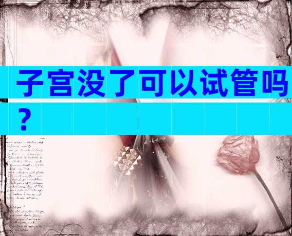 子宫没了可以试管吗？