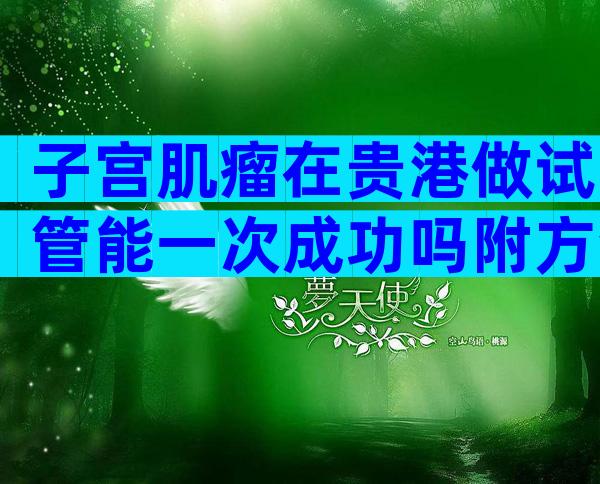 子宫肌瘤在贵港做试管能一次成功吗附方法流程解读