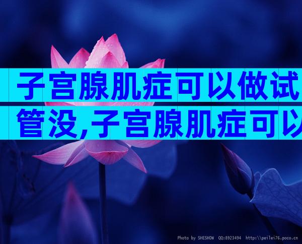 子宫腺肌症可以做试管没,子宫腺肌症可以试管吗