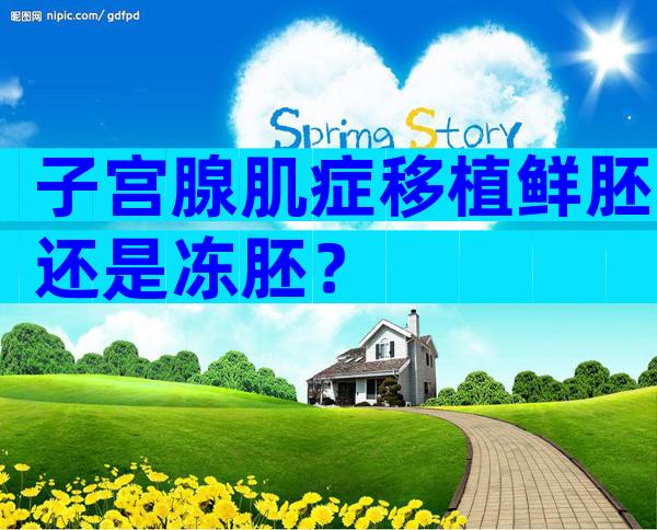 子宫腺肌症移植鲜胚还是冻胚？