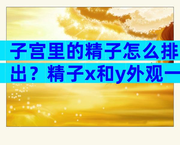 子宫里的精子怎么排出？精子x和y外观一样吗？