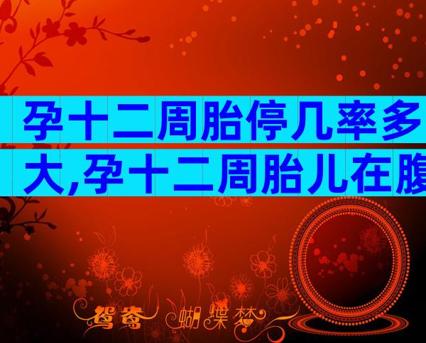 孕十二周胎停几率多大,孕十二周胎儿在腹部哪
