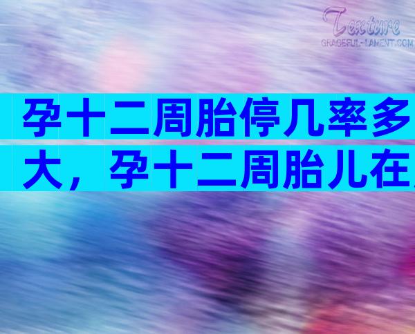 孕十二周胎停几率多大，孕十二周胎儿在腹部哪