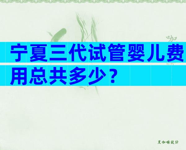 宁夏三代试管婴儿费用总共多少？