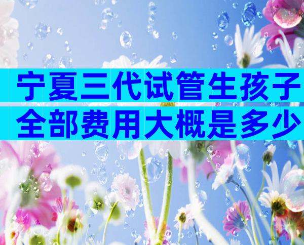 宁夏三代试管生孩子全部费用大概是多少？试管医保能保销吗？