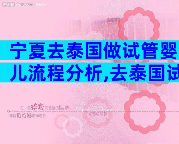 宁夏去泰国做试管婴儿流程分析,去泰国试管婴儿需要准备多少钱