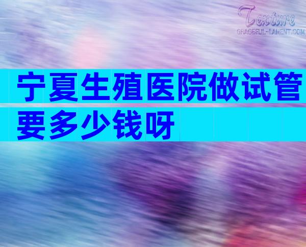 宁夏生殖医院做试管要多少钱呀