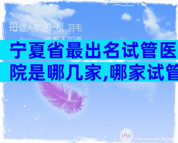 宁夏省最出名试管医院是哪几家,哪家试管比较好