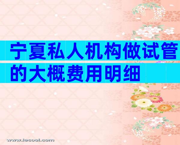 宁夏私人机构做试管的大概费用明细