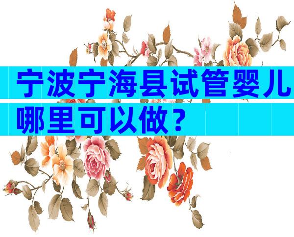 宁波宁海县试管婴儿哪里可以做？