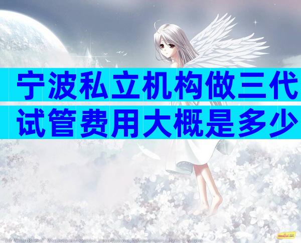 宁波私立机构做三代试管费用大概是多少