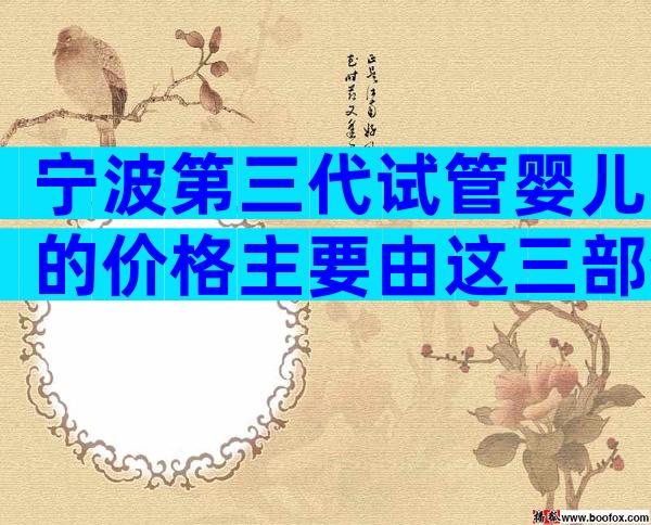 宁波第三代试管婴儿的价格主要由这三部分组成。
