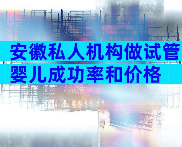 安徽私人机构做试管婴儿成功率和价格